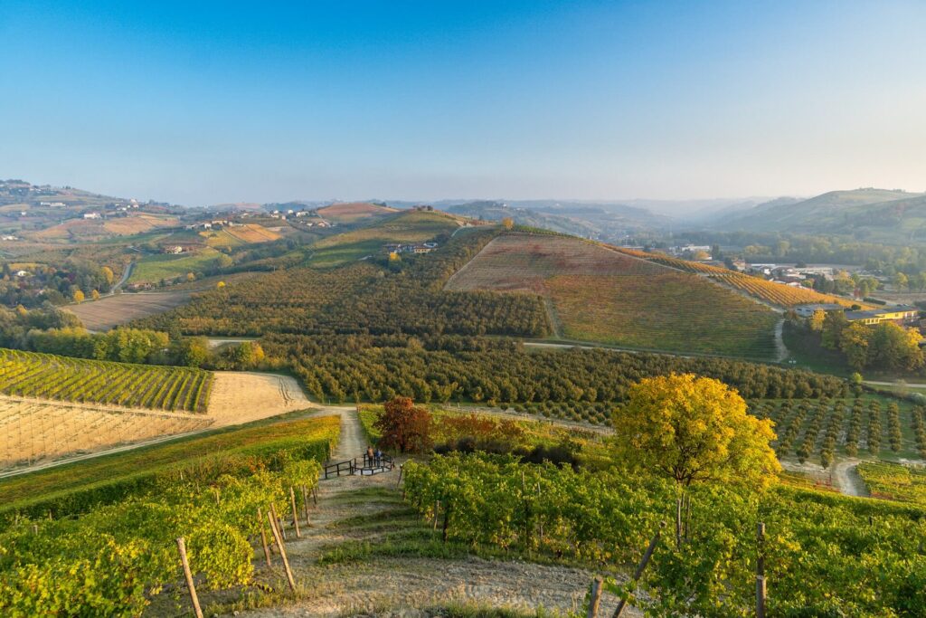 Barolo view in Piedmont
