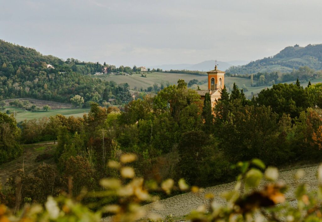 Bologna Hills