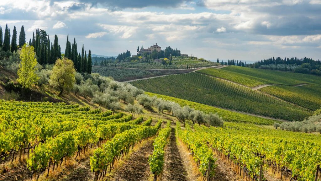 Radda in Chianti view