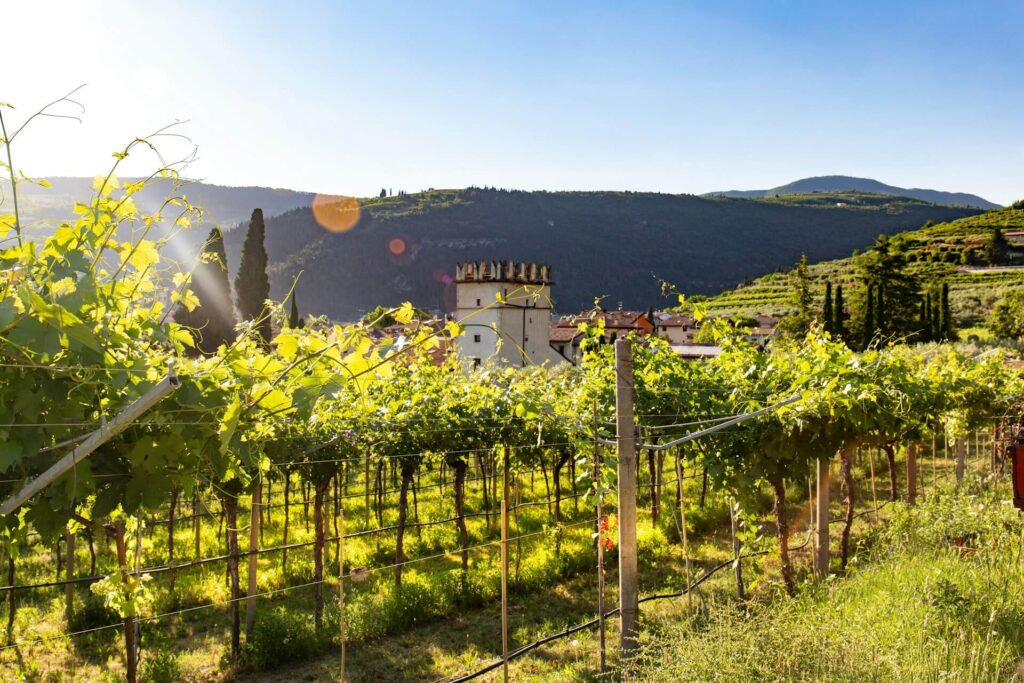 Valpolicella view